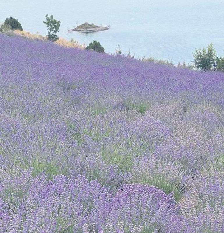 Bir yerel kalkınma hikâyesi: Yozgat