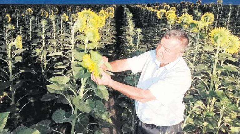 Çayır tırtılına karşı topyekûn mücadele