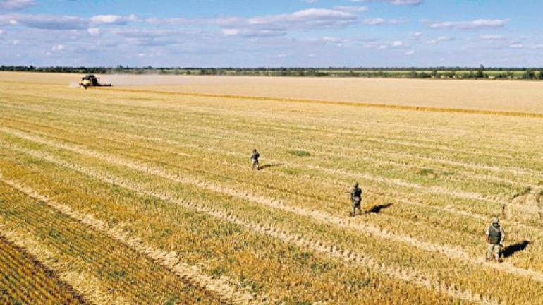 Tahıla silahlı koruma ‘Ölüm kalım meselesi’