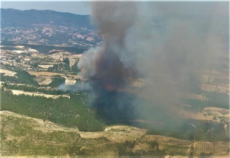 Bursa, Manisa ve Muğlada orman yangınları