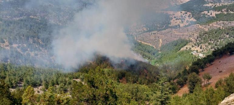 Adanada orman yangını