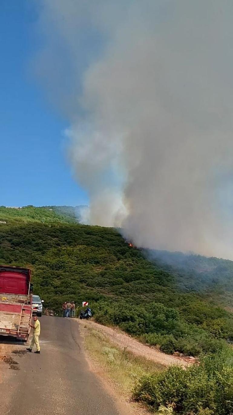 Şarköyde makilik yangını; 5 hektar yandı