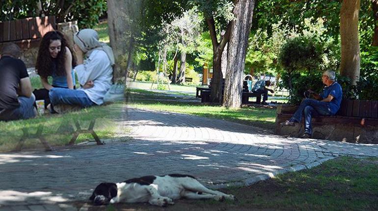 Adana’da termometreler 42 dereceyi gösterdi, vatandaşlar sıcaktan bunaldı