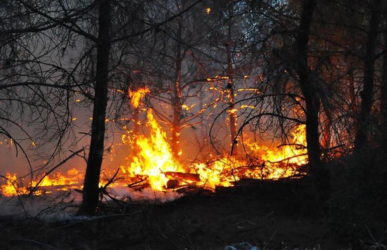Kütahya ve Manisada orman yangını çıktı İşte son durum