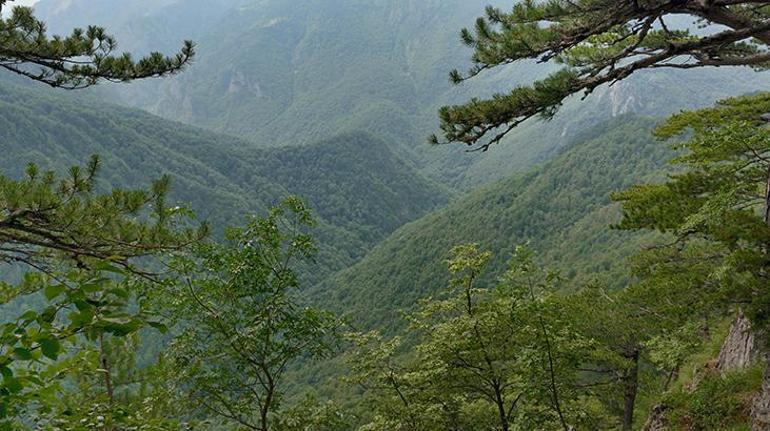 Bosna - Hersek hakkında bilinmesi gerekenler