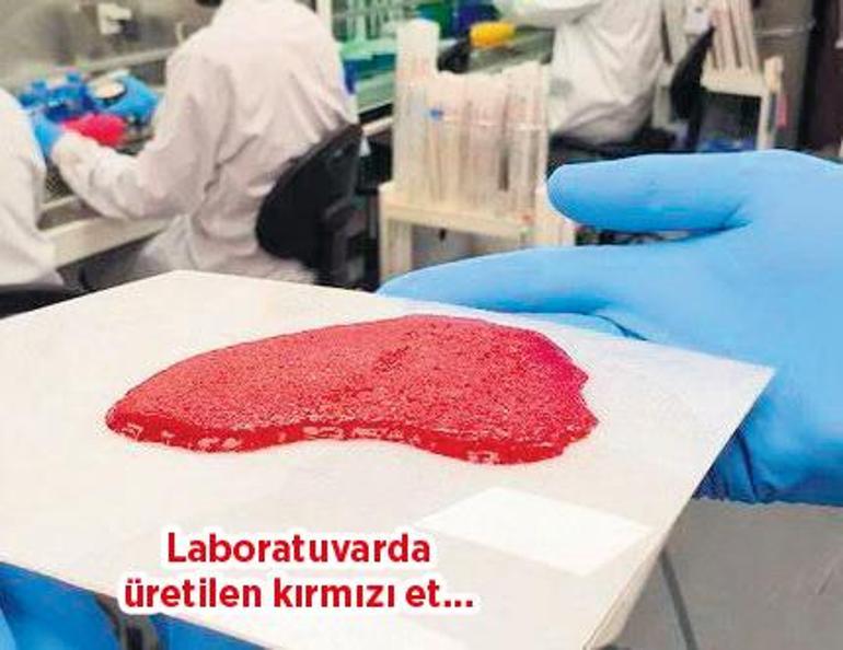Laboratuvarda et, balık
