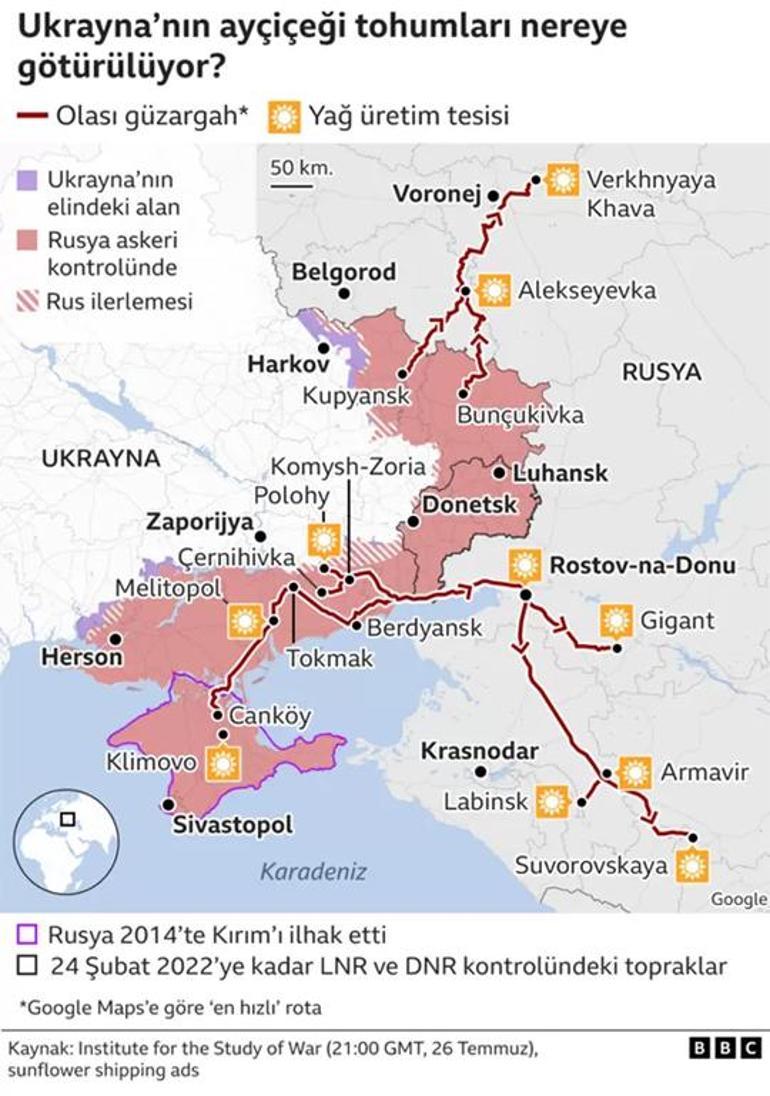 Ukrayna ayçiçeği, sosyal medya ilanlarıyla Rusyaya nasıl taşınıyor