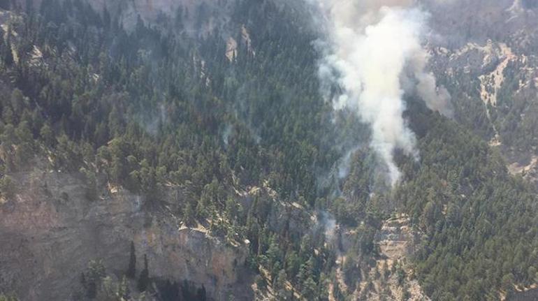 Mersinde orman yangını 6 helikopter havalandı