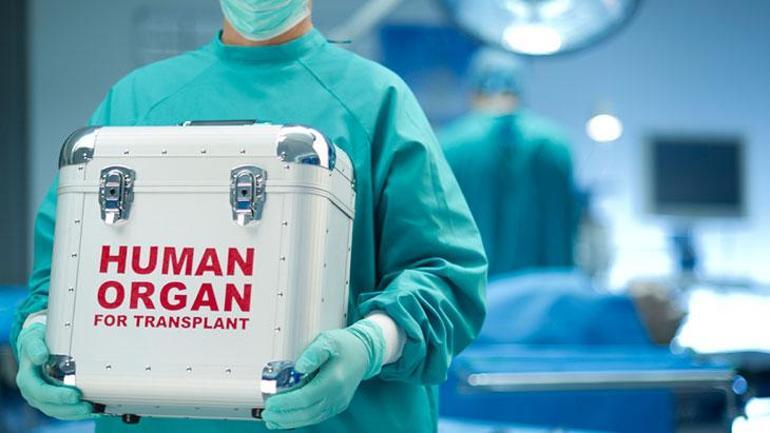 Bilim insanları ölü organları canlandırdı Prof. Dr. Ömer Özkan: Bu açıdan çok önemli