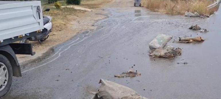 Devrilen çimento yüklü kamyondan fırlayan şoför öldü