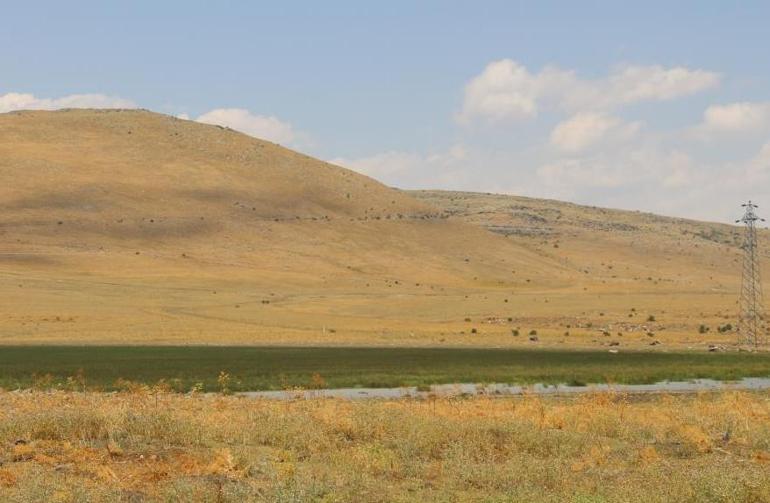 20 farklı göçmen kuş türüne ev sahipliği yapan Nenehatun gölü kurudu