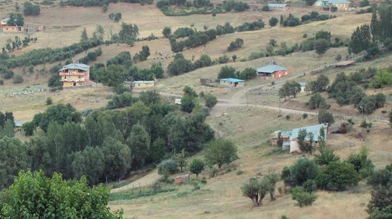 Yaban hayvanının ısırdığı inek kuduz çıktı, köy karantinaya alındı