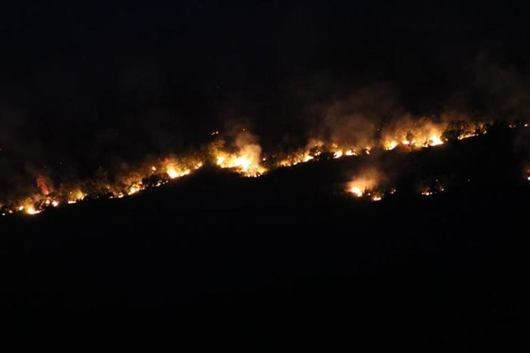 Bulgaristan’da korkutan yangın Edirnenin sınır köylerine dayandı