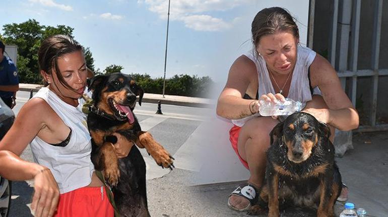 Ukraynalı çifti Edirnede sarsan olay Araca dönünce kahroldular