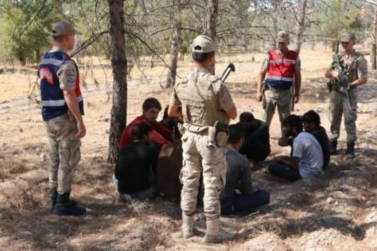 Fıstık bahçesinde saklanan 28 kaçak göçmen yakalandı