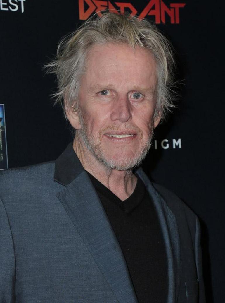 Cinsel tacizle suçlanan Gary Busey, parkta pantolonunu indirdi