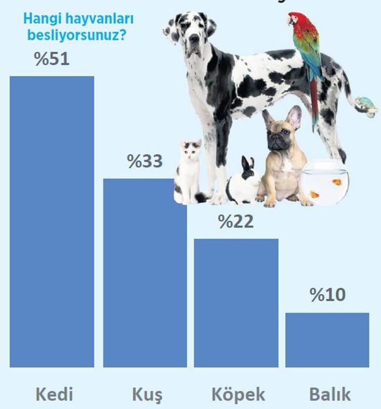 Sokak hayvanları için kutuplaşma