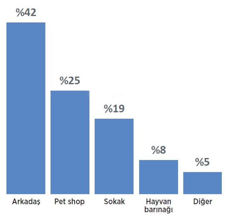 Sokak hayvanları için kutuplaşma