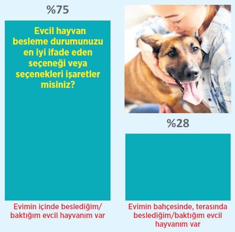 Sokak hayvanları için kutuplaşma