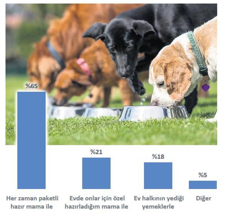 Sokak hayvanları için kutuplaşma