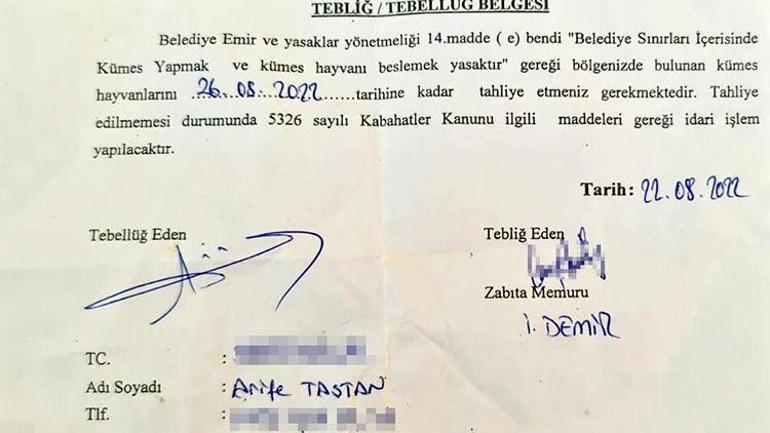 Komşularının sesinden rahatsız olduğu horozunu sahiplendirdi