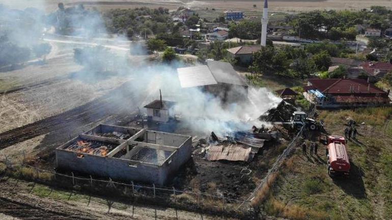 Edirne’de can pazarı Çiftlik yandı, hayvanlar telef oldu