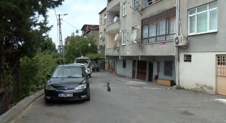 Adanada vahşet 33 yaşındaki Şermin Sarı, başı taşla ezilerek öldürüldü