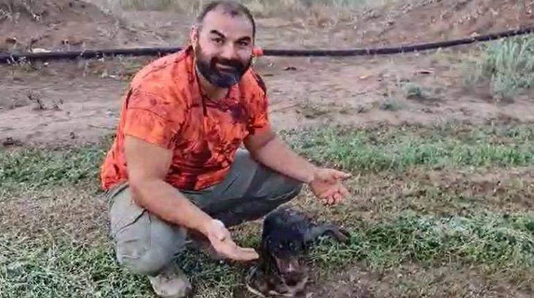 Asılı kalan köpeğe kalp mesajı