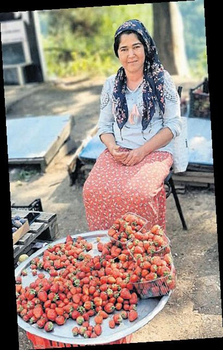 Uludağ Kocayayla’da yıldızları izleyin