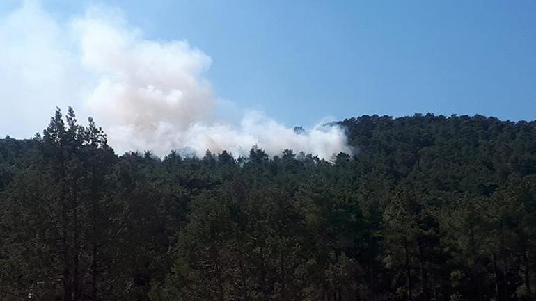 Düşen yıldırım yangın çıkardı 2 hektar orman zarar gördü