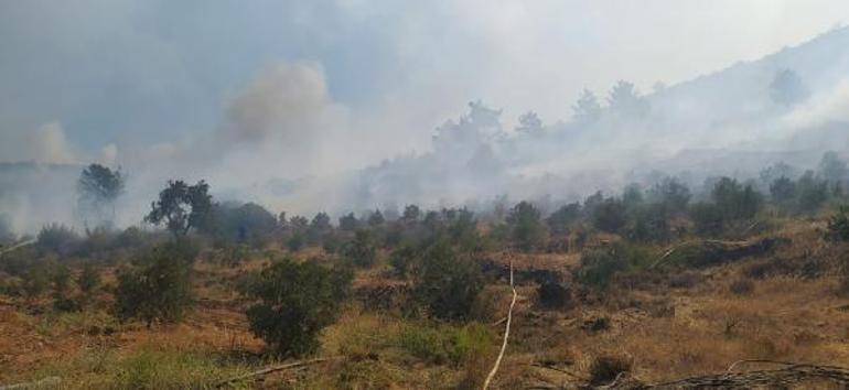 Mersindeki yangın büyüdü, ekipler bölgede Silifkeye sıçradı