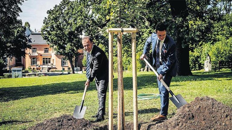 Sinema tadında bir festival bizi bekliyor