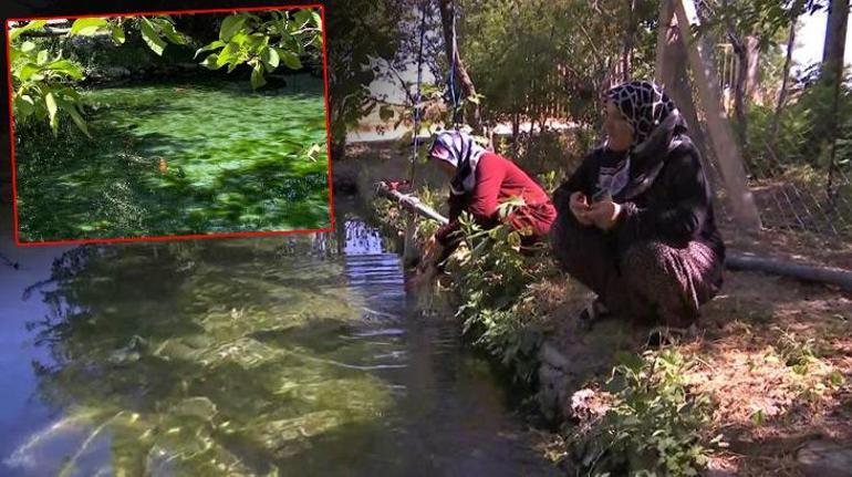 Elazığ’ın saklı cenneti Dipsiz Göl