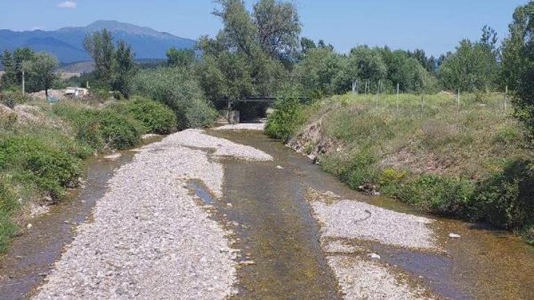 Boluda 1 kişinin öldüğü zehirlenme vakalarında hastanede 5 hasta kaldı