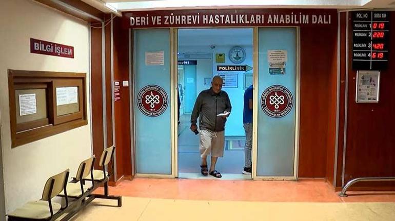 İstanbulda sivrisinek alarmı Vatandaşlar hastanelere akın etti