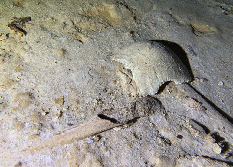8 metre derine daldı, tarihi keşif yaptı Tam 8 bin yıllık...