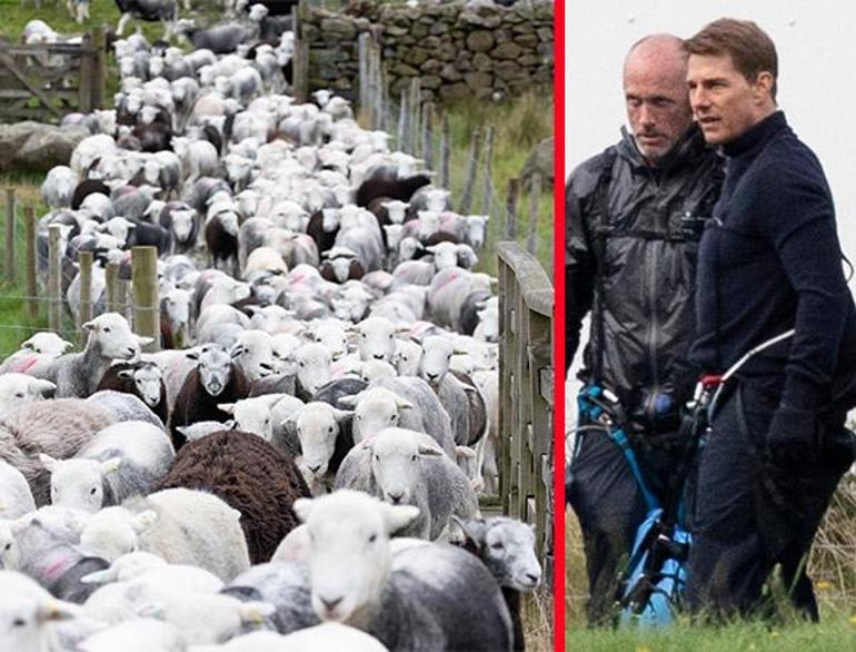 Tom Cruiseun film setini koyunlar bastı