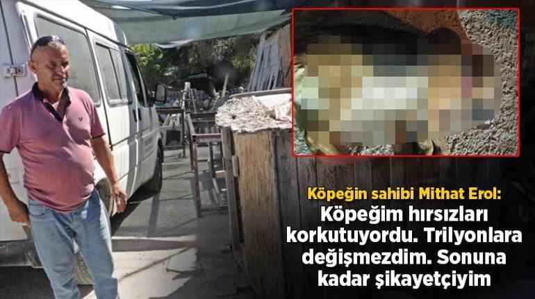 Yer: Antalya Tartıştığı arkadaşına sinirlendi, aynı ismi taşıyan köpeği öldürdü