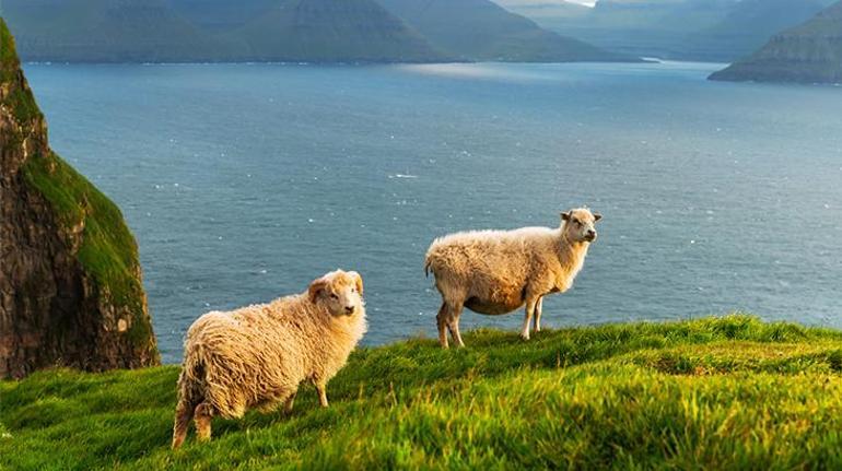 Faroe Adaları hakkında bilinmesi gerekenler