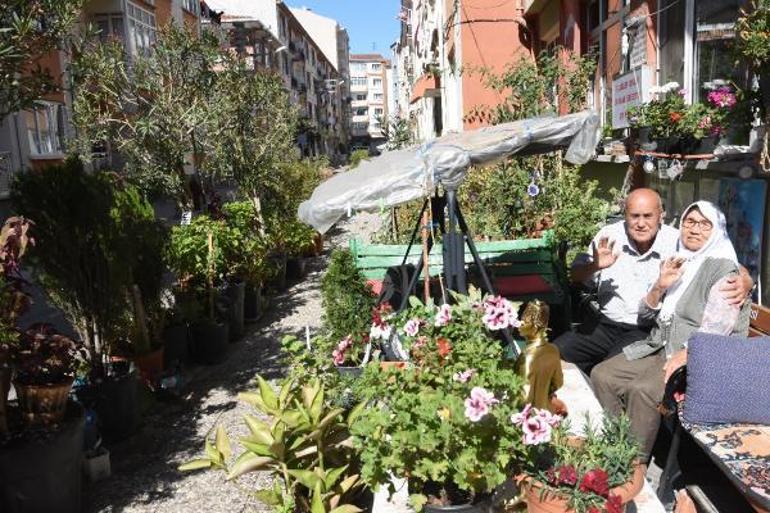 Eşi, kendisi için kaldırımı bahçeye çevirmişti; iyileşme başladı