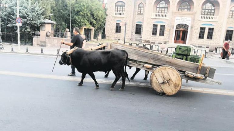 İstiklal Yolu belgesel oldu