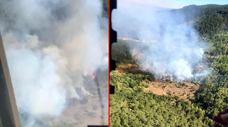 Kütahya’da orman yangını Kontrol altına alındı