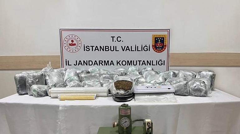 Jandarmadan uyuşturucu operasyonu: 66 kilo skunk ele geçirildi