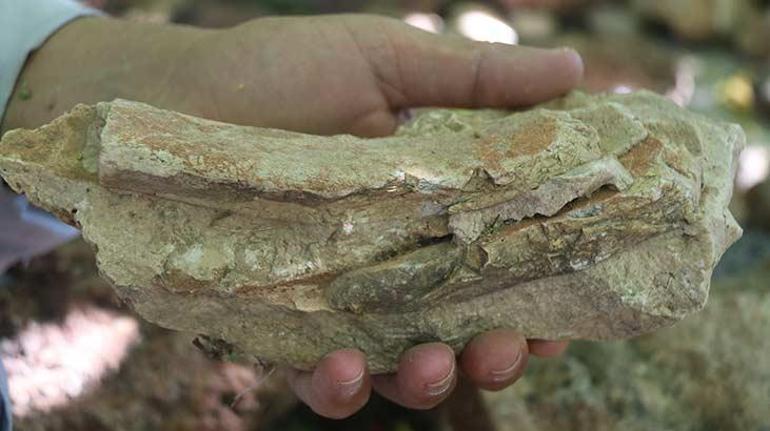 Dağda bulduğu fosilleri topladı, evini açık hava müzesine çevirdi