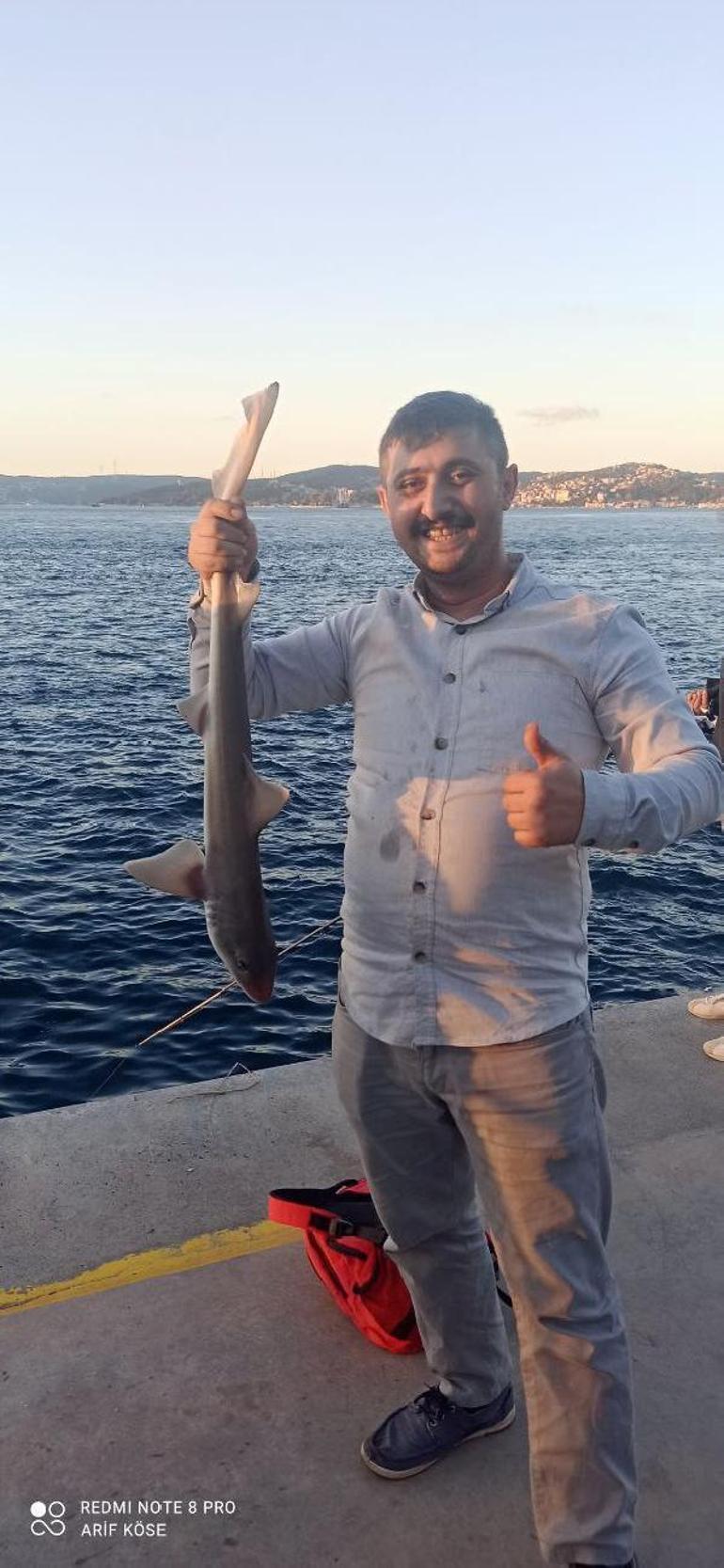 İstanbul Boğazında olta ile yavru köpek balığı yakaladı