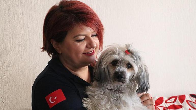 Kazada yaralanan turistlerin köpeğini sahiplendi: Gözlerindeki korkuyu fark ettim