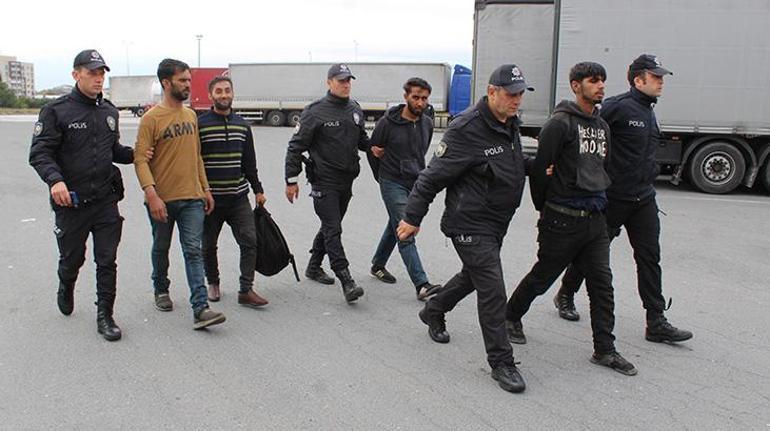 Tesisteki ağaçlıkta saklanan kaçak göçmenler yakalandı