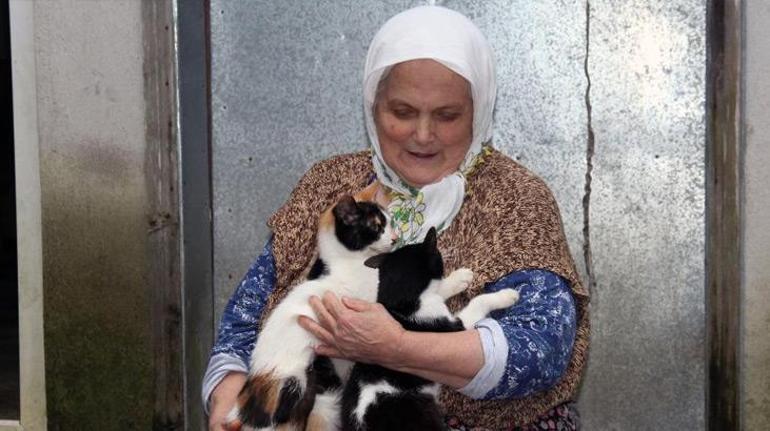 70 yaşındaki Hanife nine çocuk sevgisini kedilerde buldu
