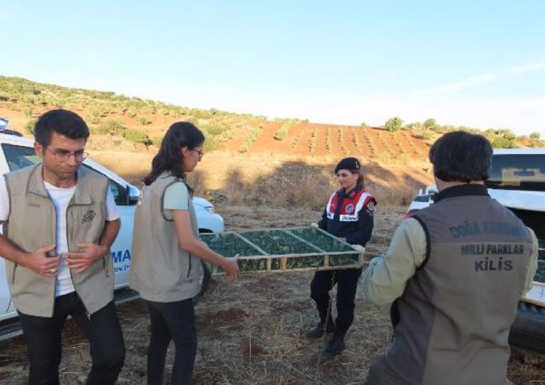 900 sakayı Suriyeye kaçırmak isteyen şüpheliye rekor ceza