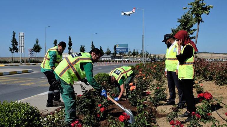 İstanbul Havalimanında organik atıklar toprağa can veriyor